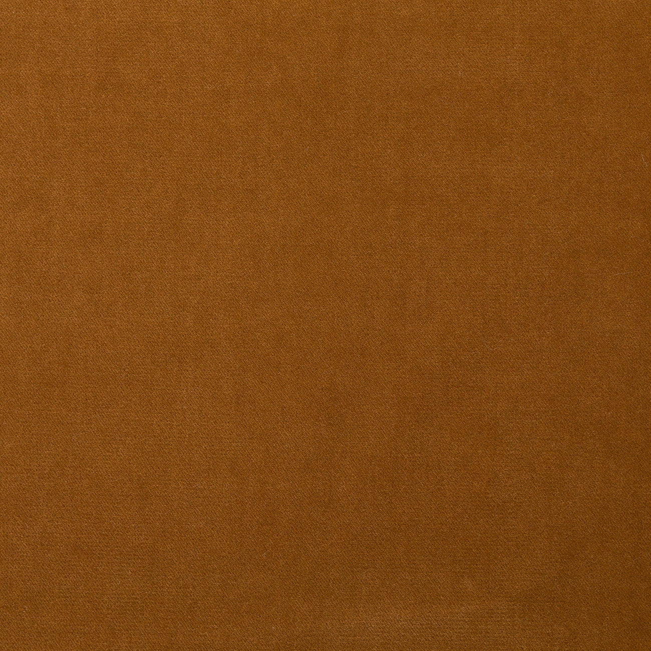 Anne Cupid Pink / Sweet Camel