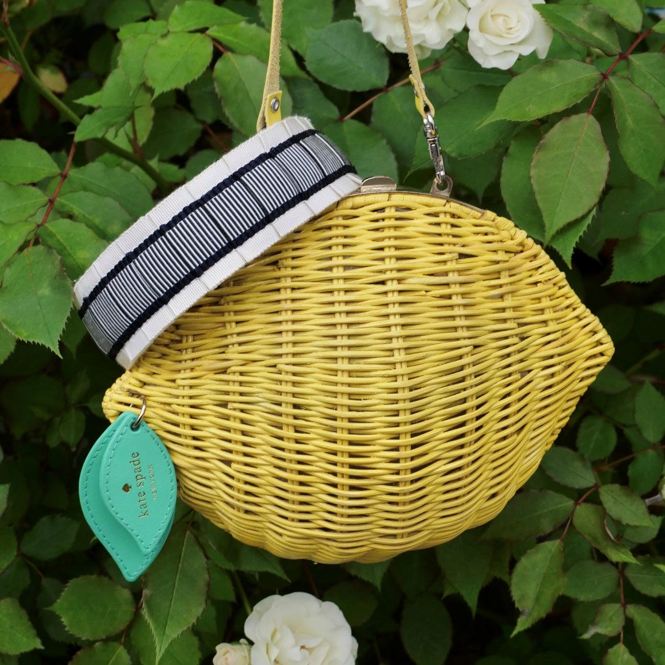 Amelia Grosgrain Echelle
