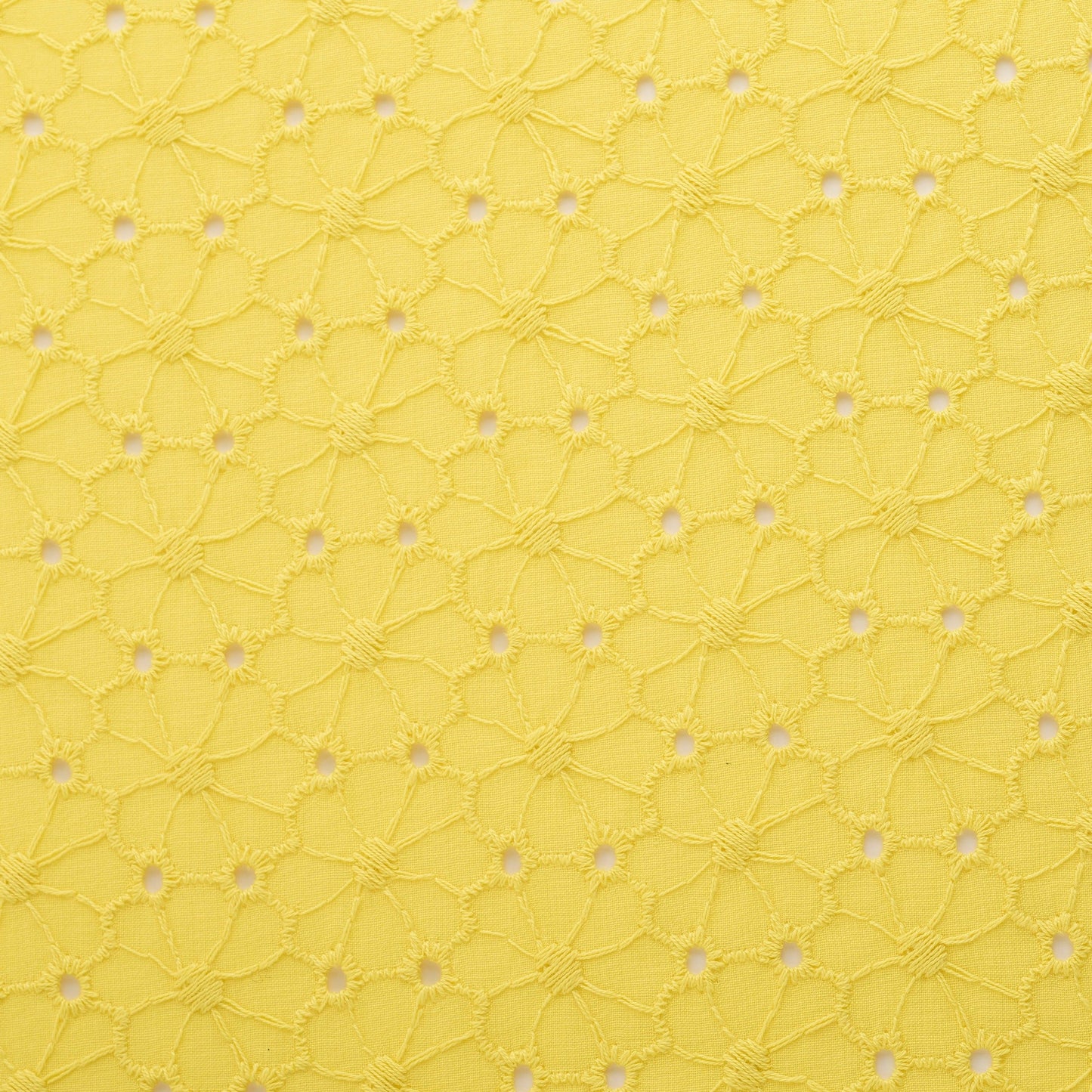 Alice & Audrey  Eyelet Embroidery<Yellow>