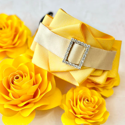 Emma Princess series