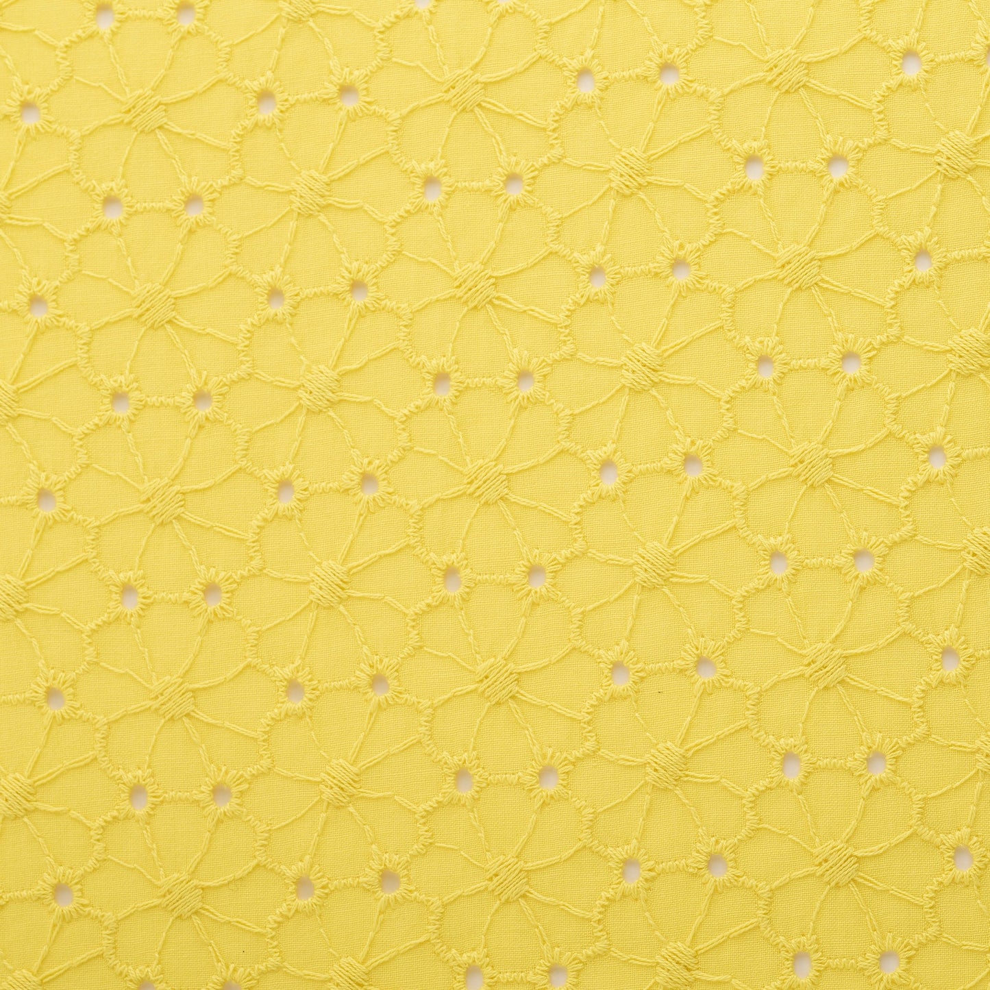 Alice & Audrey  Eyelet Embroidery<Yellow>